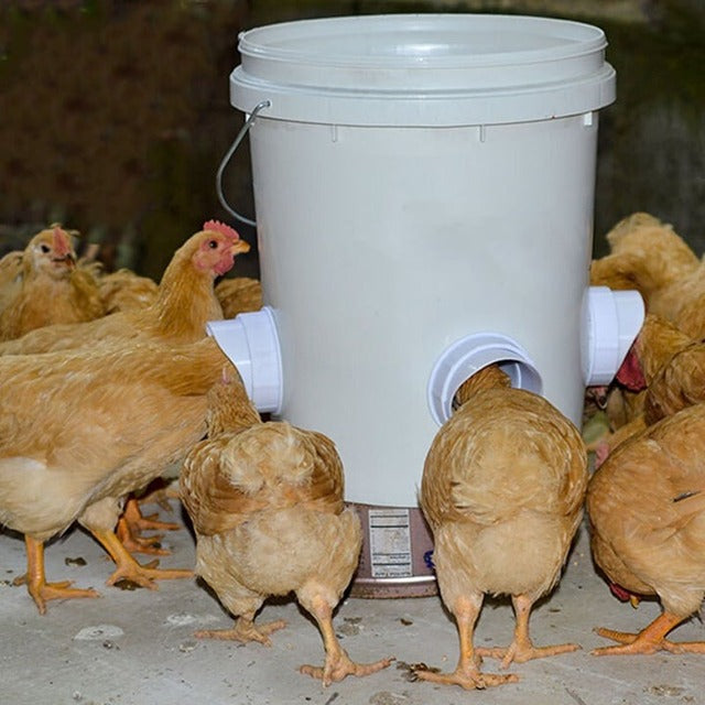 DIY CHICKEN FEEDER