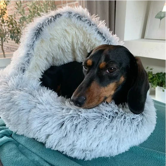 🐶Last day! 💥Special sale - Plush bed for dogs & cats - owronline