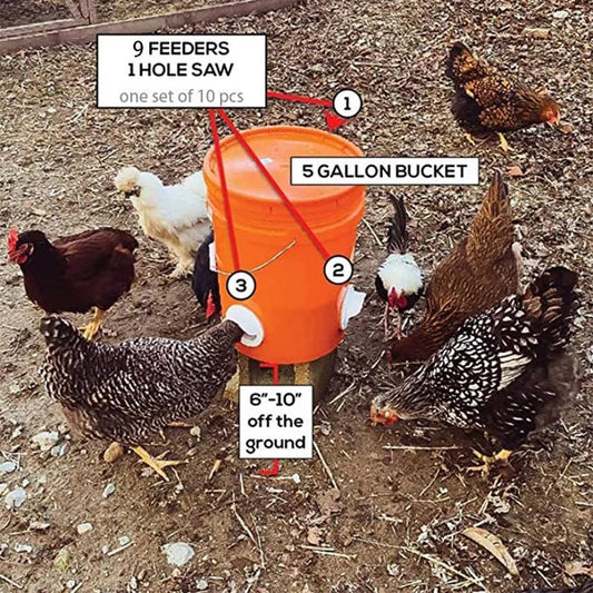 DIY CHICKEN FEEDER