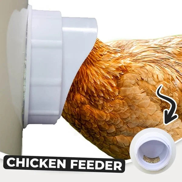 DIY CHICKEN FEEDER